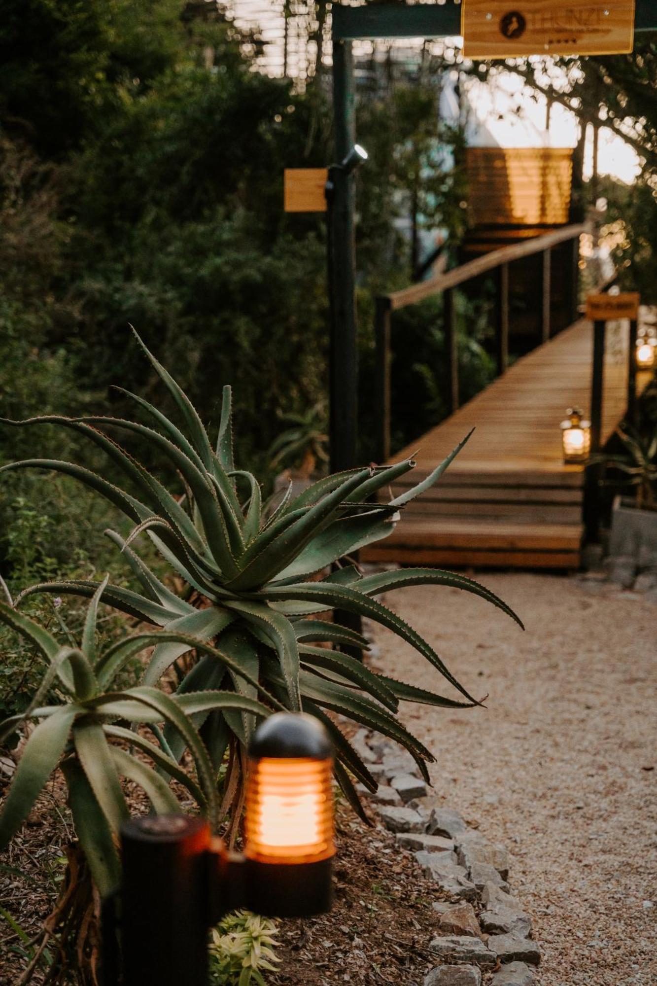 Thunzi Bush Lodge Beachview Zewnętrze zdjęcie